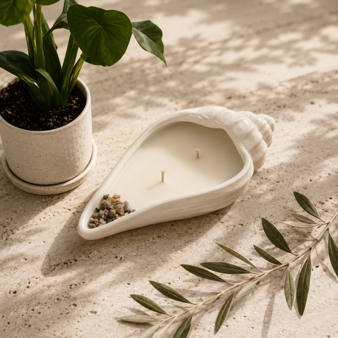 Shell Bowl White