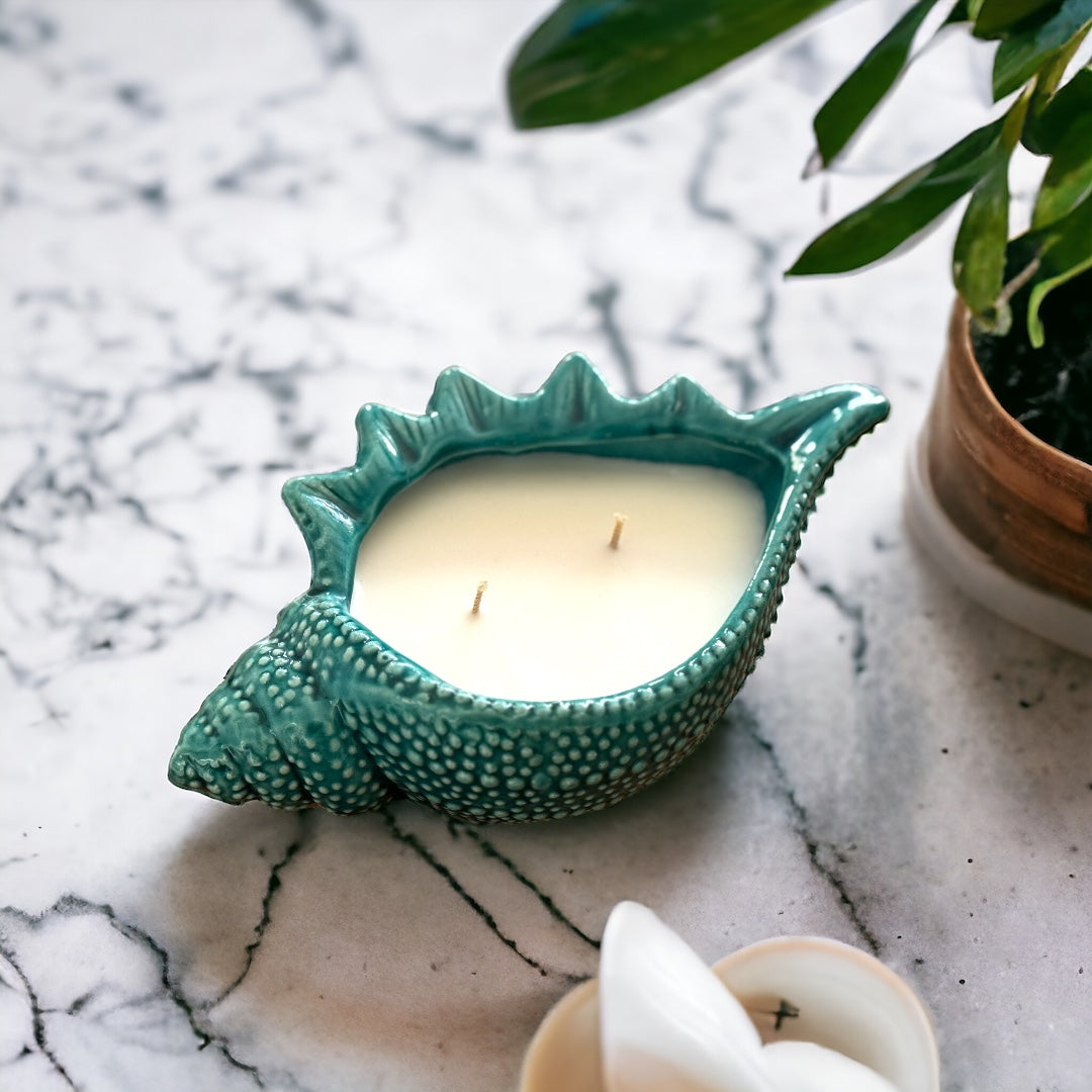 Shell Bowl Teal