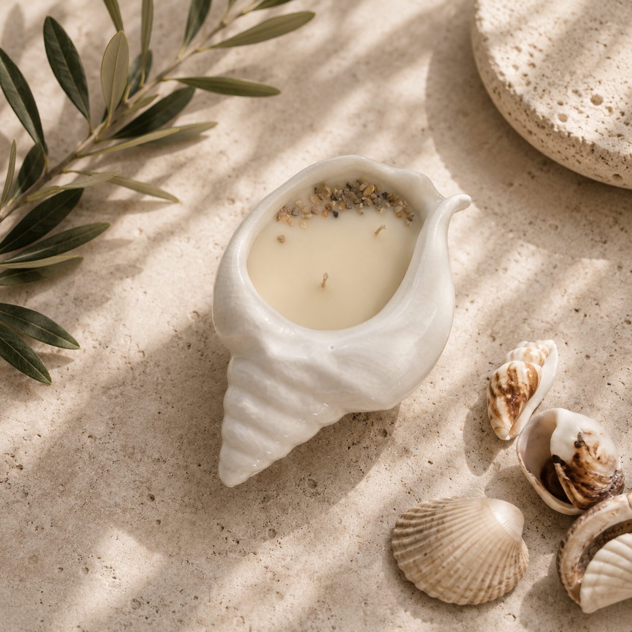 Conch Shell